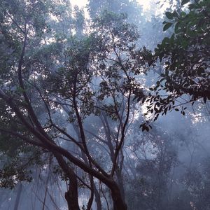 松風侍 - Lone Blade