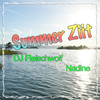 DJ Fleischwolf - Summer Ziit