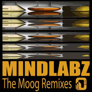 The Moog (Mechanical Pressure Remix)