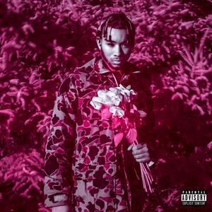 NaNa (The Calm) (feat. Savaun)