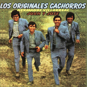 Yo No Dejo La Bebida