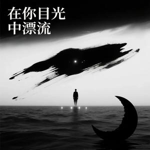 在你目光中漂流