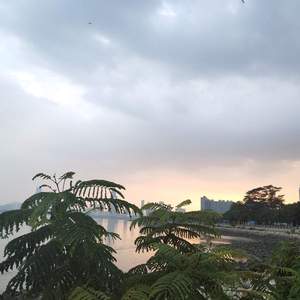 秋天里的一片落叶