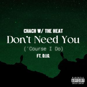 Don't Need You ('Course I Do) (feat. D.i.G.)