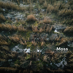 Moss