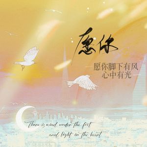 愿你(原唱：昼夜)