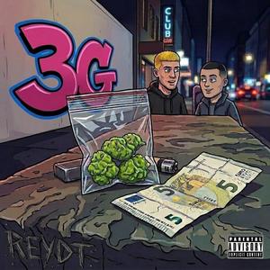 3G
