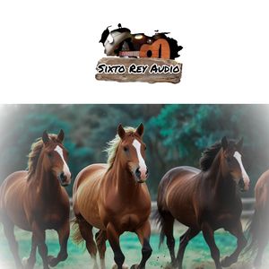 Así Se Trabaja el Llano