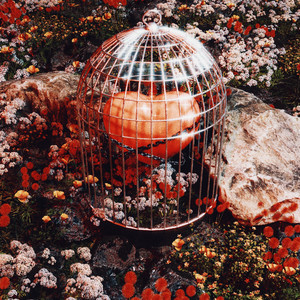 囚蚀爱prod.EVO MUSIC&Siren