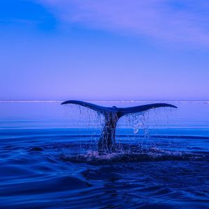 R&B/melody rap type beat（回到梦里）