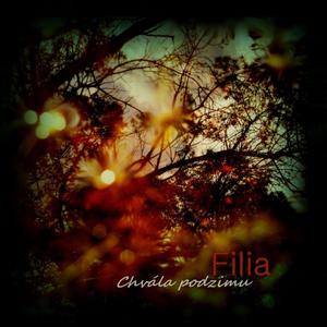 Cesta stříbrných rán