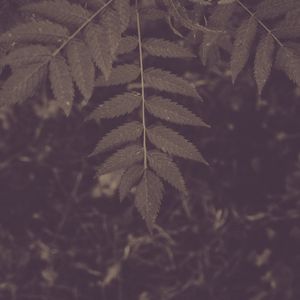 抚慰的安静的时光回忆