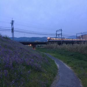 一个陌生女人的来信