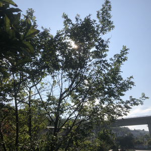 一封未寄出的家书