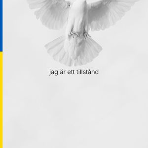 Jag är ett tillstånd