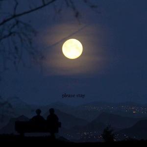 星空剪影（cover 蓝心羽）