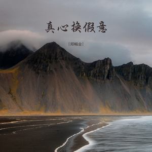真心换假意 (伴奏)