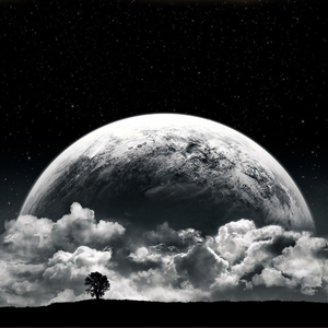 Moonlight