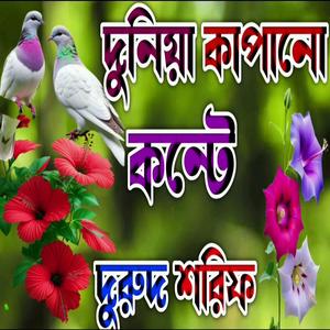 দুরুদ শরিফ মোহাম্মদ ইয়া রাছুল আল্লাহ