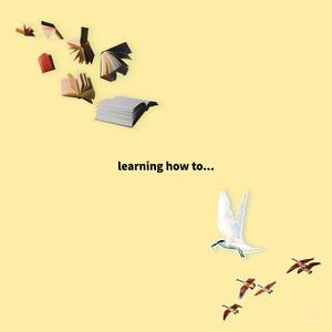 learning how to...
