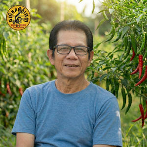 ពុះទ្រូងខ្ញុំចុះ