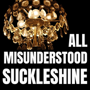 All Misunderstood