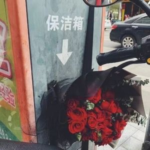 风里凋谢，土里腐烂，没人需要的玫瑰等待的只有枯萎