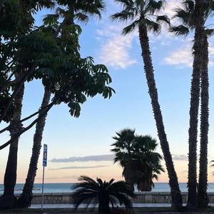 匿名的好友（抖音男声版、不能握的手从此匿名的朋友）