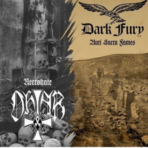 The Bloodied Mud (Your Damned Order)