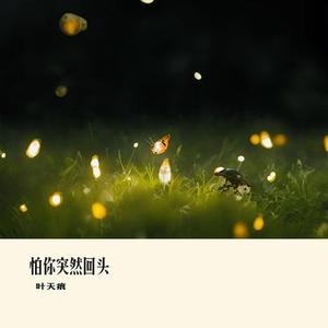 怕你突然回头