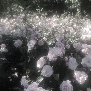 ［Free］"XXX" LilTjay x PAIN Type Beat