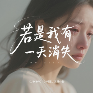 若是我有一天消失不见