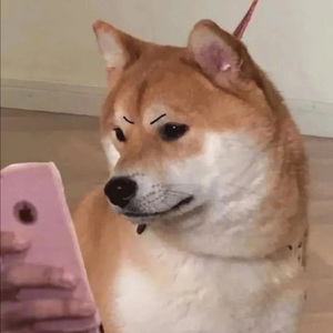 不得不爱伴奏0.86x