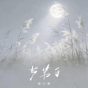 芦苇白(和声伴奏)