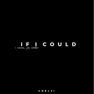 IF I COULD
