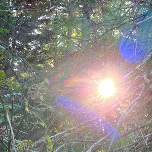 L'Appel Silencieux de l'Hiver