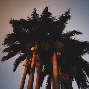 心动(Guitar Ver) (翻自 陈洁仪)（翻自 陈洁仪）