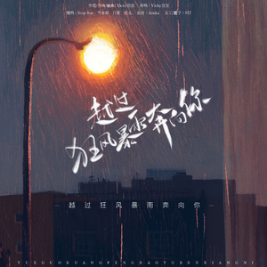 越过狂风暴雨奔向你