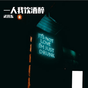 一人我饮酒醉(2026武开东版本)