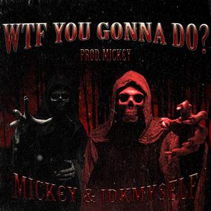 WTF YOU GONNA DO? (feat. IDKMY$eLF)