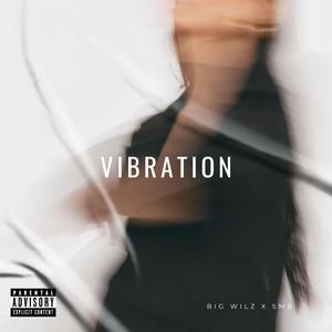 Vibration (feat. StillMixingBeats)