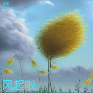 风起啦