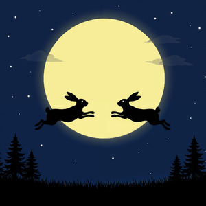 二兎を追う者は一兎をも得ず