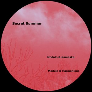 African Voice (Modulo & Harmonious Remix)