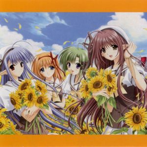 Mirage Lullaby（Shirayuki Ne Arrange）