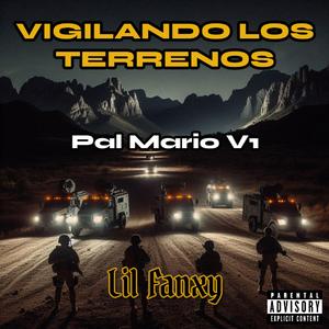 VIGILANDO LOS TERRENOS (Pal Mario V1)