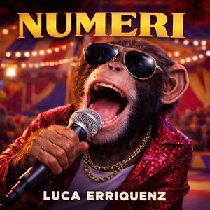 NUMERI