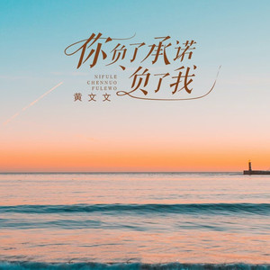 你负了承诺负了我 (DJ光波版)