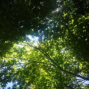 有人会喜欢25这样的数字吗