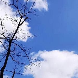 那年那夜那一天